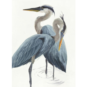 MIRRORED NATURE 24X33 X