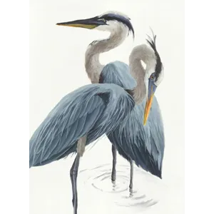 MIRRORED NATURE 24X33 X