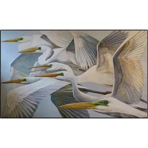 Ardea Alba