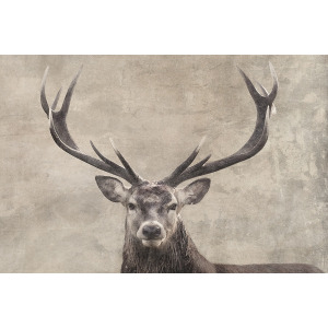 Rustic Country Animals I Canvas Print