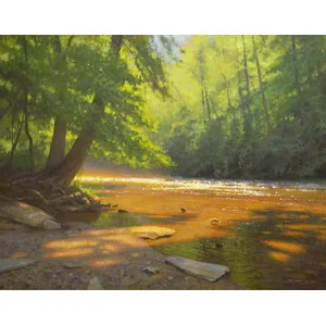 River Sparkle Canvas Print