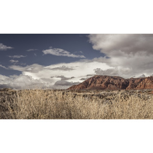 Utah XVI
