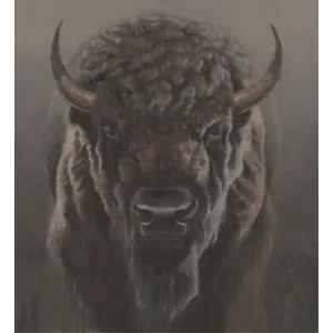 The Great Bison