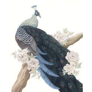 Tale of the Peacock II
