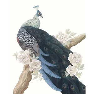 Tale of the Peacock II