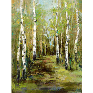 Aspen Summer II