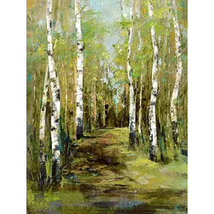 Aspen Summer II