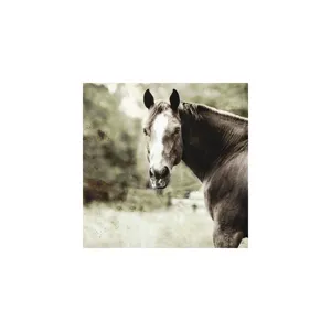 Romeo Canvas