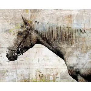 Lonely Steed
