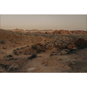 Utah V