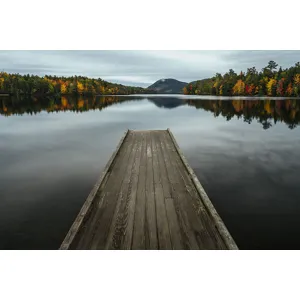 Into Autumn