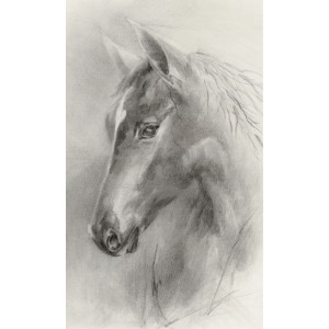 Lonely Horse II