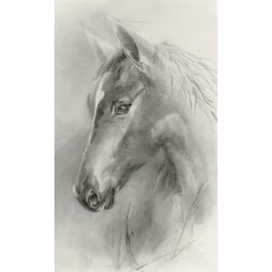 Lonely Horse II