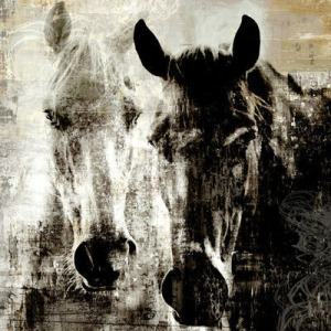 Captain and the Miss