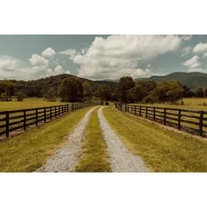 The In-Between Mile Canvas Print
