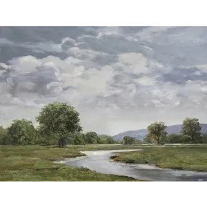 Serene Scene-Waver