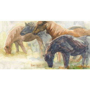 Stallions & Mares