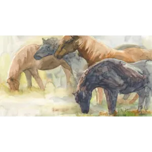 Stallions &amp; Mares