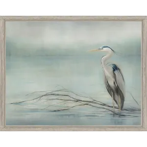 In the Wetlands