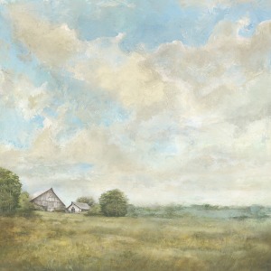 Clouds Over the Farm I