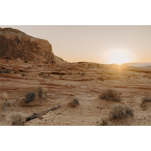 Utah XXV