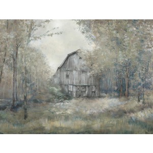 Beauty in Barn III
