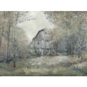 Beauty in Barn III