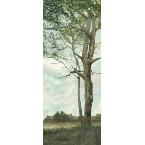 Autumn of an Old Tree I