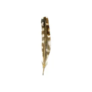 Fall Feathers IV