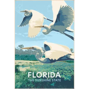Flying Florida Egrets