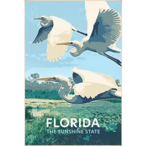 Flying Florida Egrets