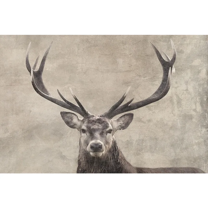Rustic Country Animals I Canvas Print
