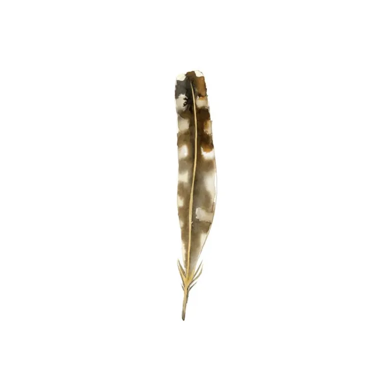Fall Feathers IV