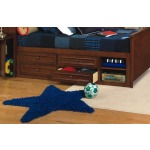 Underbed Storage Unit with Rail