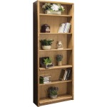 Contemporary Bookcase