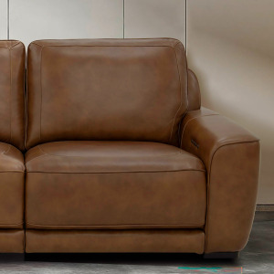 Blake L Arm Recliner P2 & ZW