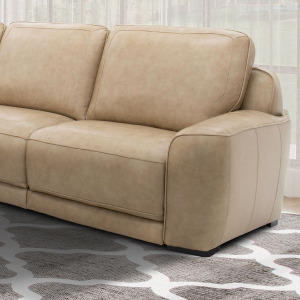 Blake R Arm Recliner P2 & ZW