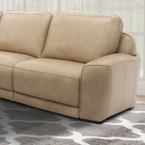 Blake R Arm Recliner P2 & ZW