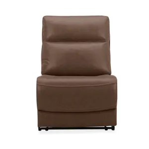 Collins Armless Recliner P3 & ZG