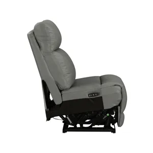 Camden Armless Recliner P3 & ZW