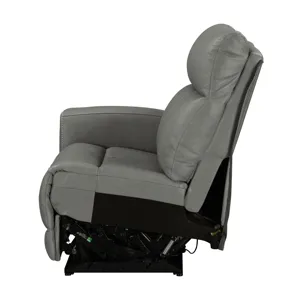 Camden L Arm Recliner P3 & ZW
