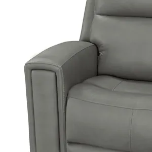 Camden L Arm Recliner P3 & ZW