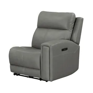 Camden L Arm Recliner P3 & ZW