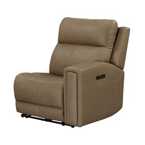 Camden R Arm Recliner P3 & ZW