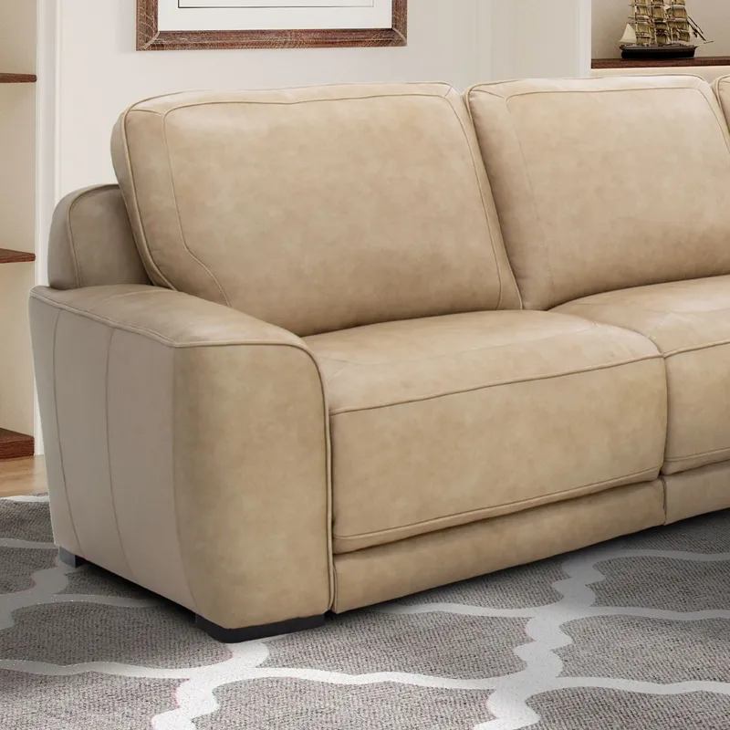 Blake L Arm Recliner P2 & ZW