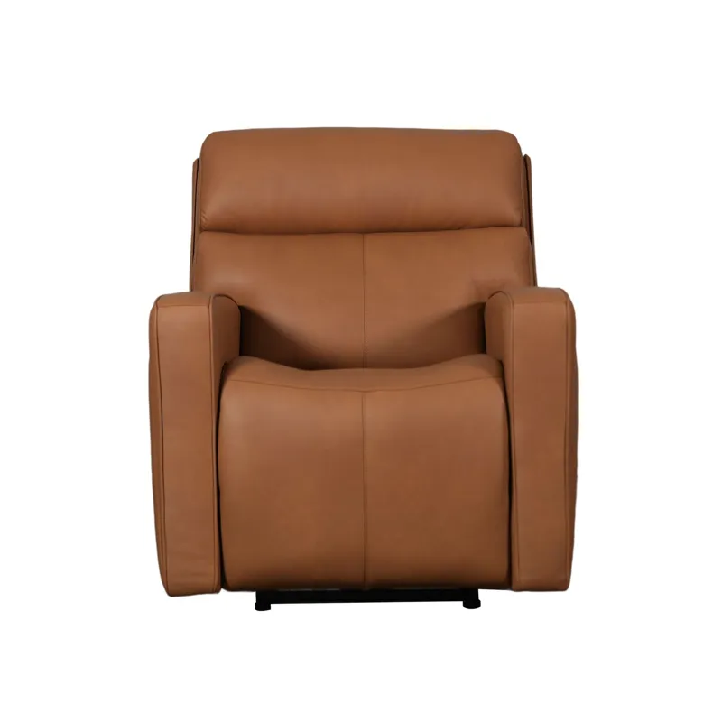 Chase SG Recliner P3 & ZG