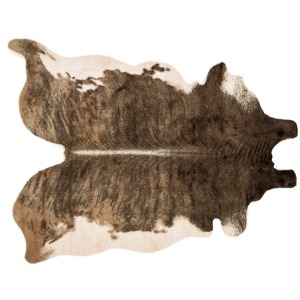 Grand Canyon Camel / Beige Rug