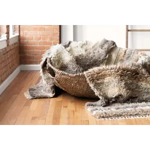 Loloi X Ed Ellen Degeneres Abbot 2\'-0\" X 3\'-0\" Rug