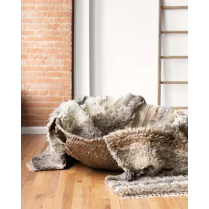 Loloi X Ed Ellen Degeneres Abbot 2\'-0\" X 3\'-0\" Rug