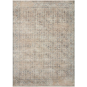 Angela Rose X Loloi Blake Rug